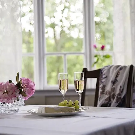 فندق فيسنيس