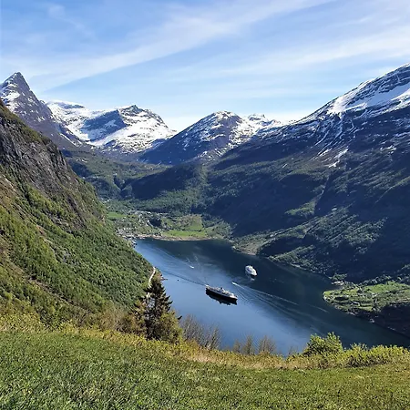 Visnes